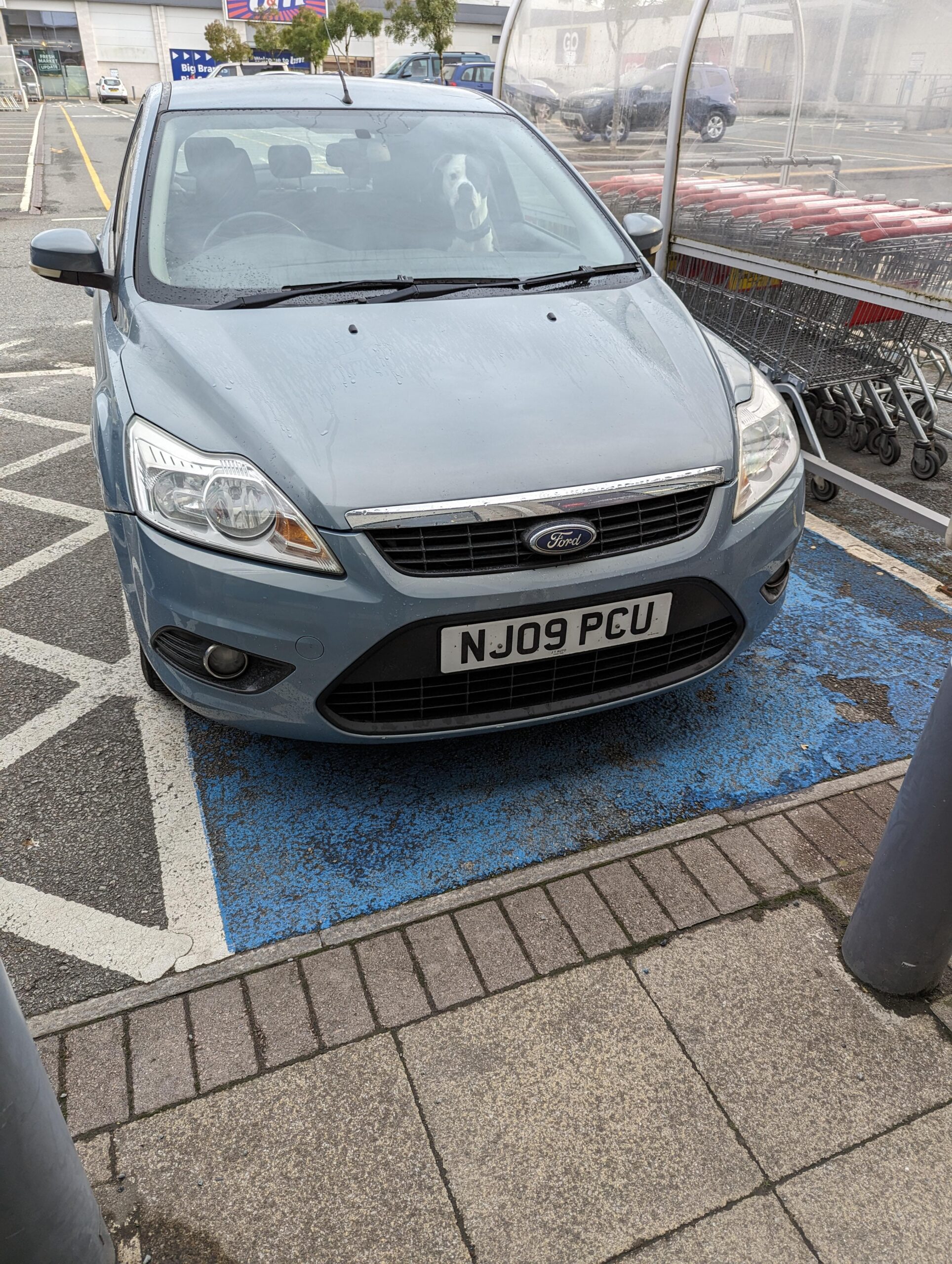 Car in disabled space with no badge.